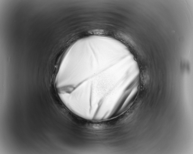 X0000088130645200706111408