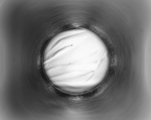 X0000088130646200706111408