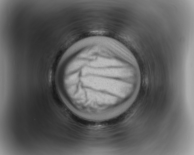 X0000088130647200706111408