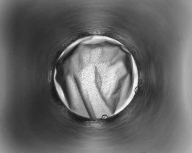 X0000088130652200706111408