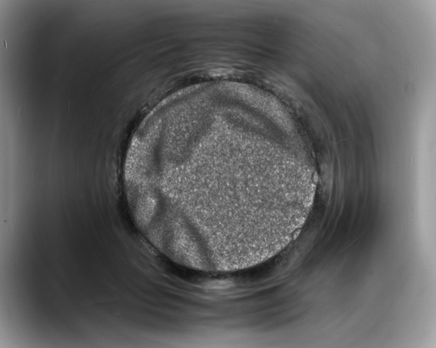 X0000088130653200706111408