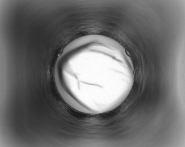 X0000088130655200706111408