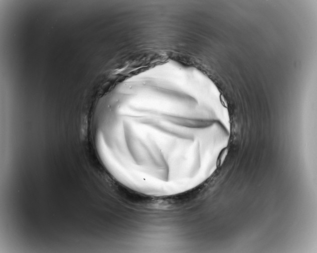 X0000088130656200706111408