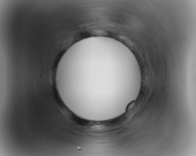 X0000088130658200706111408