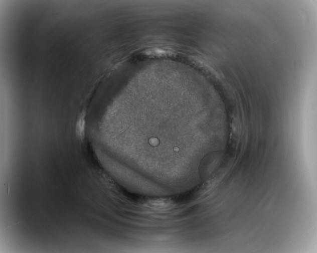 X0000088130659200706111408