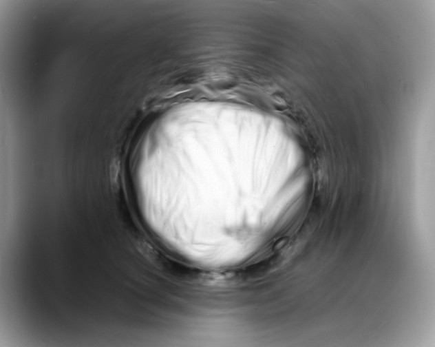 X0000088130660200706111408