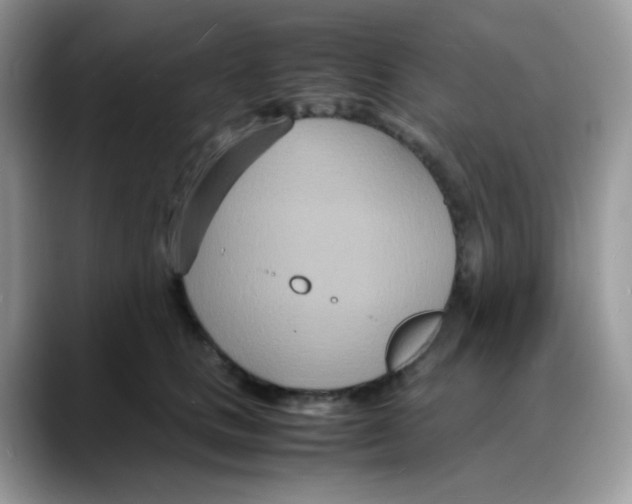 X0000088130661200706111408