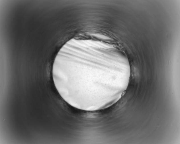 X0000088130664200706111408