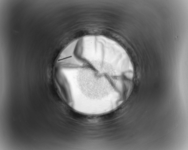 X0000088130667200706111408