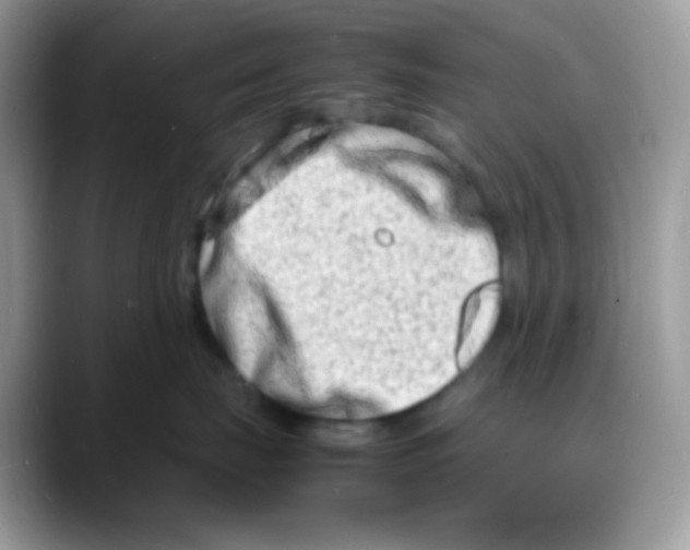 X0000088130671200706111408