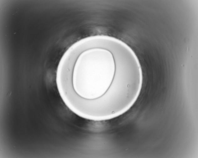 X0000088130672200706111408