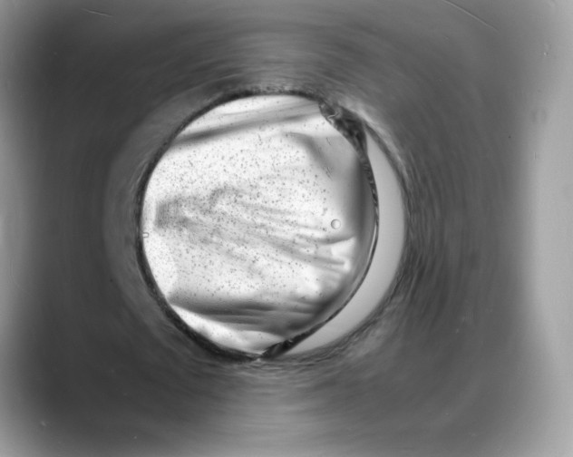 X0000088130673200706111408