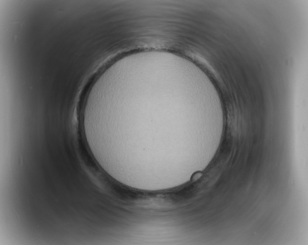 X0000088130674200706111408