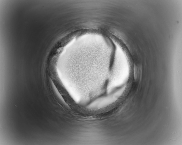 X0000088130675200706111408