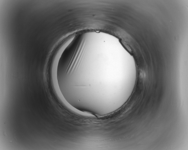 X0000088130676200706111408