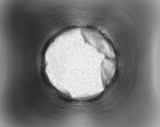 X0000088130679200706111408