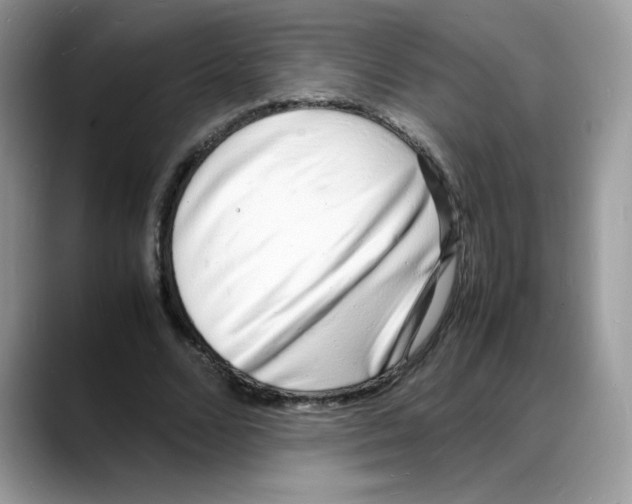 X0000088130680200706111408