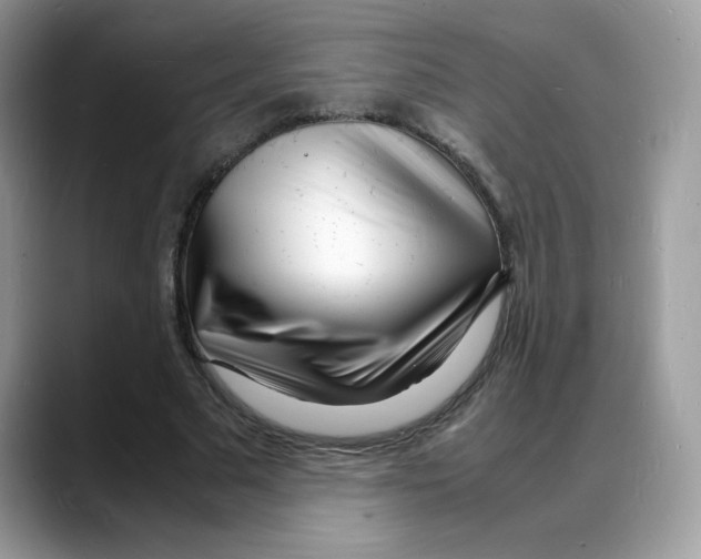 X0000088130681200706111408