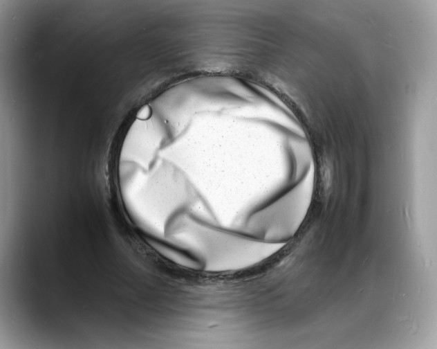 X0000088130682200706111408