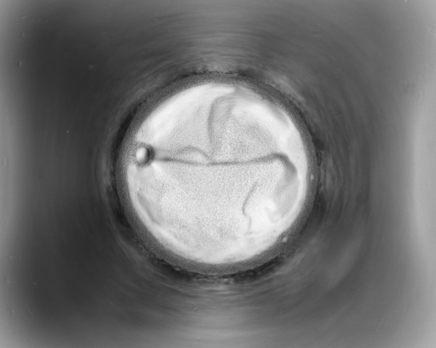 X0000088130683200706111408