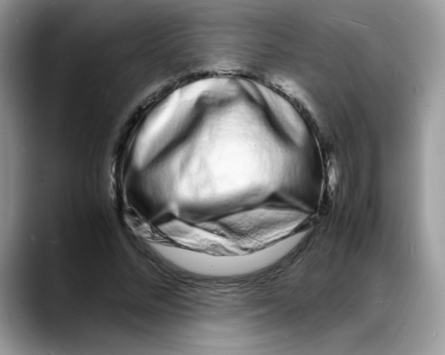 X0000088130684200706111408