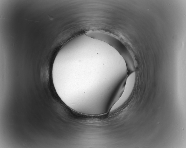 X0000088130685200706111408