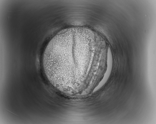 X0000088130688200706111407