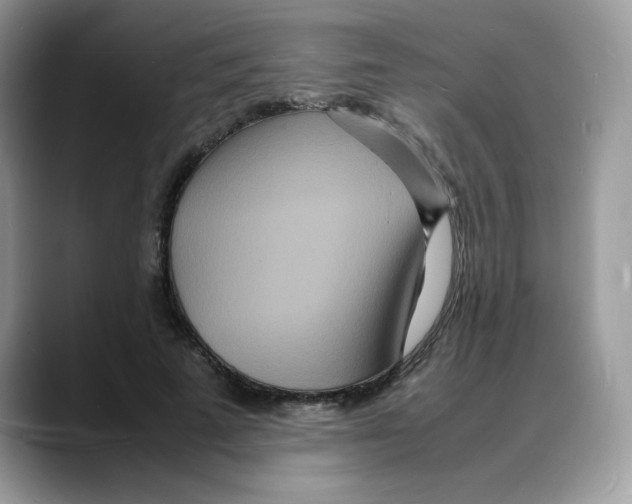 X0000088130689200706111407