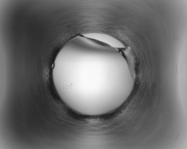 X0000088130693200706111407