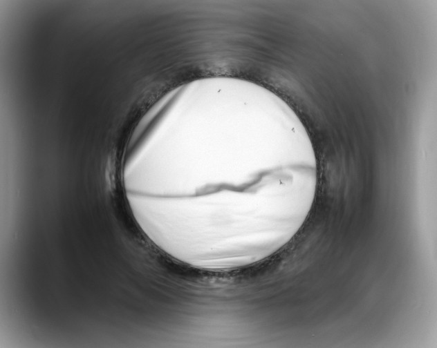 X0000088130694200706111407