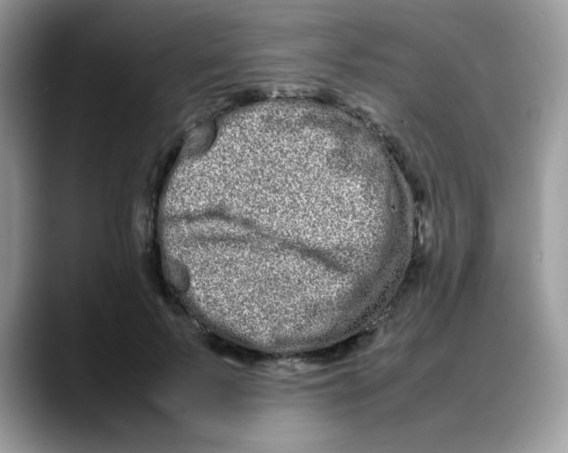 X0000088130695200706111407