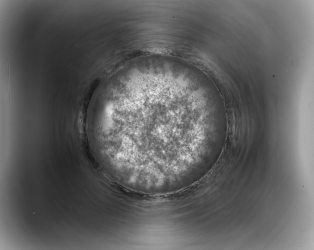 X0000088130696200706111407