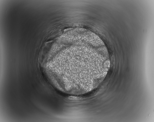 X0000088130699200706111407