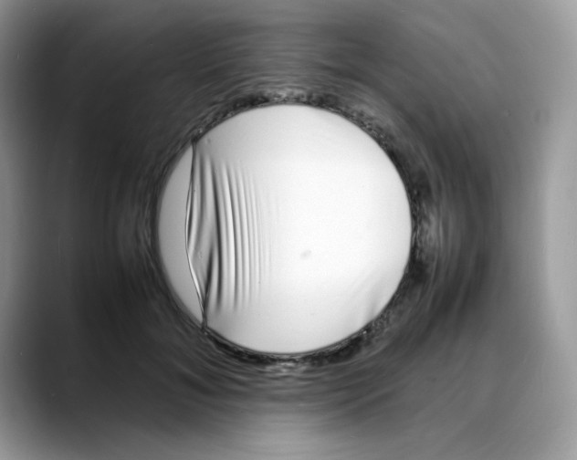 X0000088130700200706111407