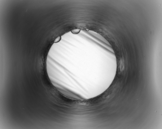 X0000088130702200706111407