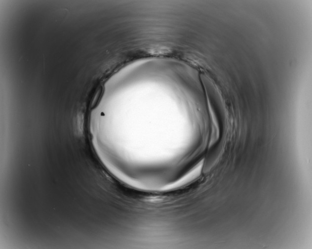 X0000088130704200706111407