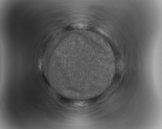 X0000088130709200706111407