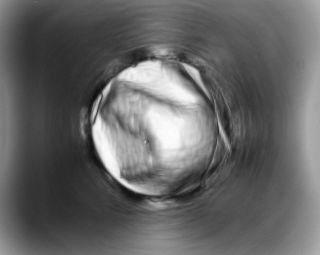 X0000088130712200706111407