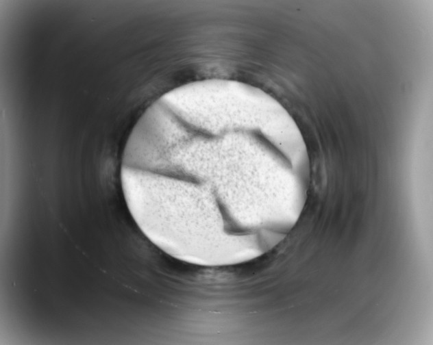 X0000088130714200706111407