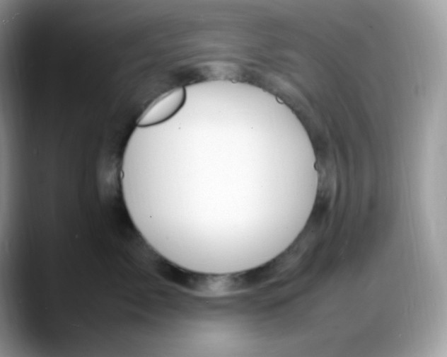 X0000088130717200706111407