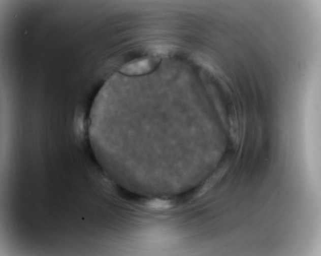 X0000088130718200706111407