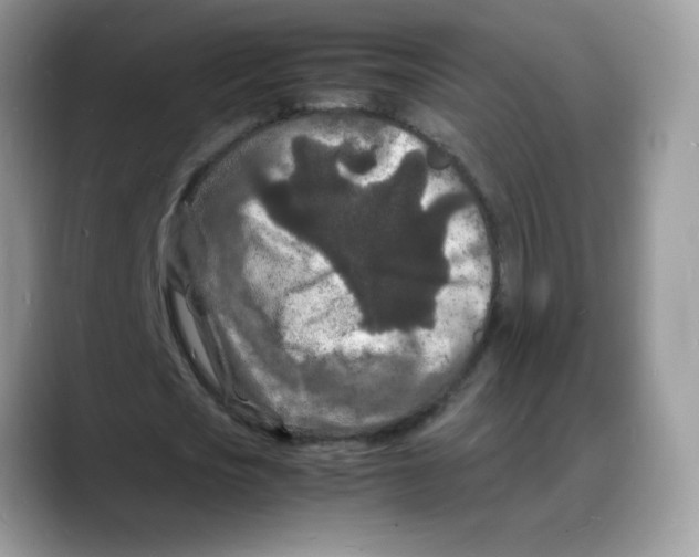 X0000088130721200706111407