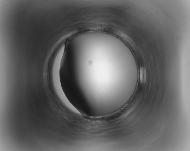 X0000088130723200706111407