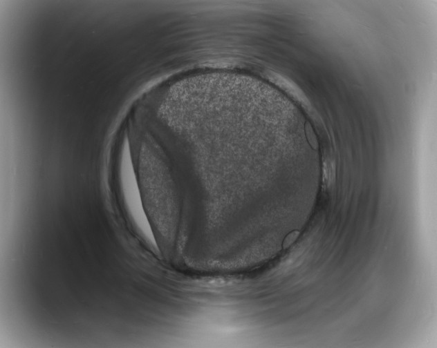 X0000088130724200706111407