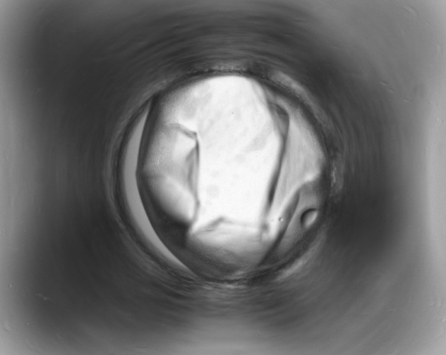 X0000088130725200706111407