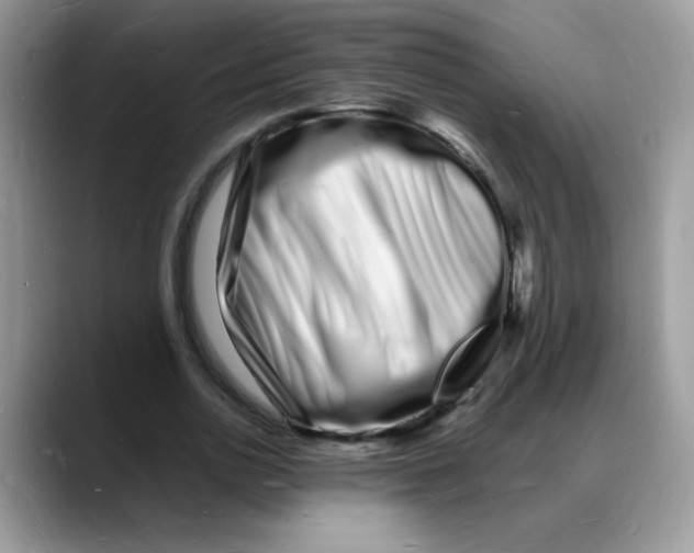 X0000088130726200706111407