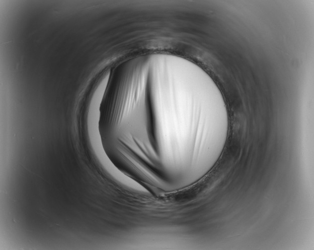 X0000088130727200706111407