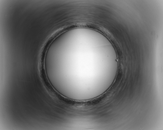 X0000088130728200706111407