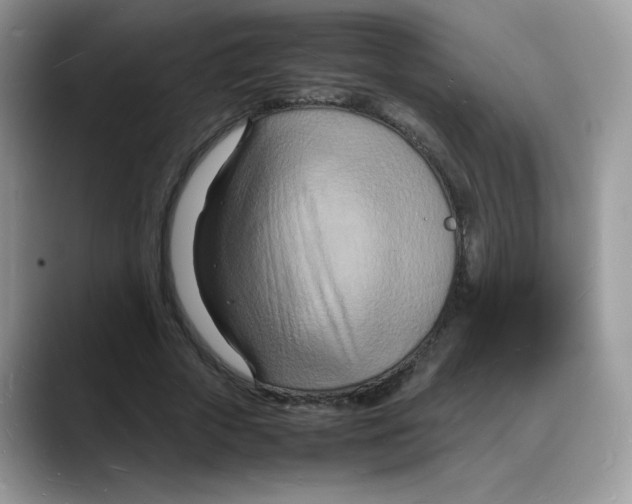 X0000088130729200706111407