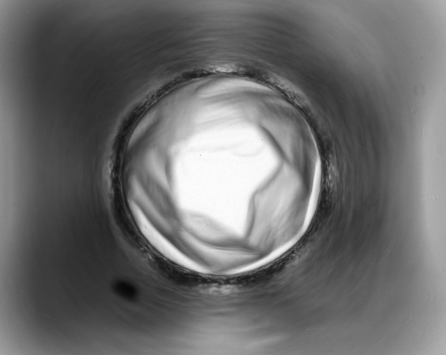 X0000088130730200706111407